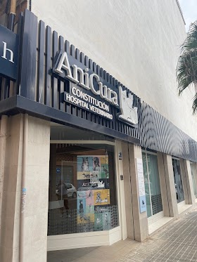 AniCura Constitución Hospital Veterinario| Urgencias 24h