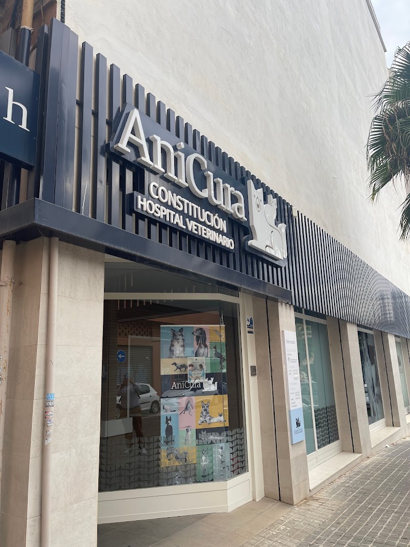 AniCura Constitución Hospital Veterinario| Urgencias 24h