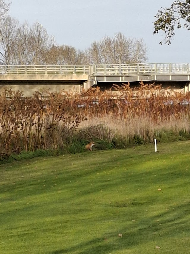 Kamiyubetsu Riverside Golf Course - Photo 10