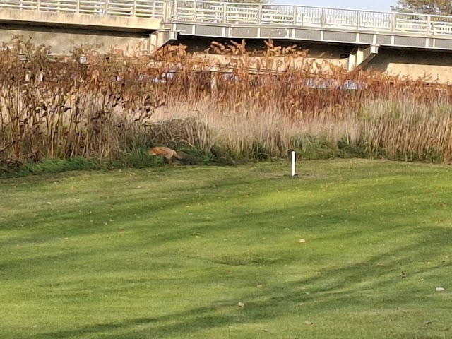 Kamiyubetsu Riverside Golf Course - Photo 9