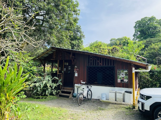 Cabinas Iguana Cahuita