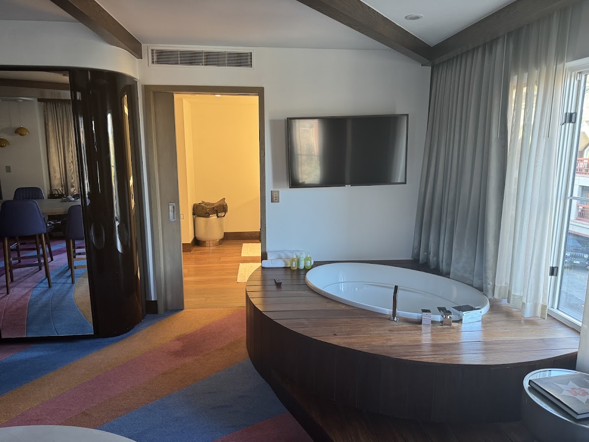 W Aspen, dog-friendly hotel, photo 3