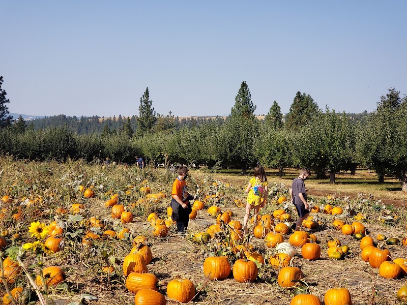 Walters' Fruit Ranch photo 2