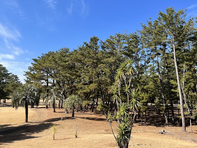 Miyazaki Country Club - Photo 4