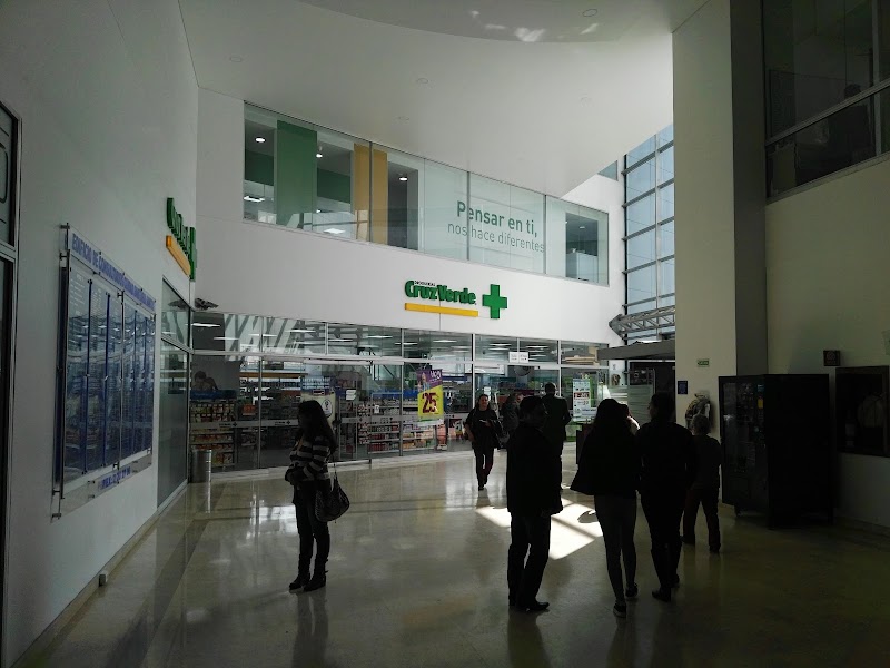 Gallery 3