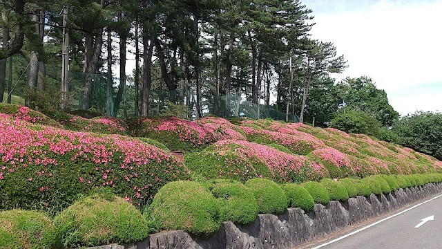 Akagi International Country Club - Photo 5