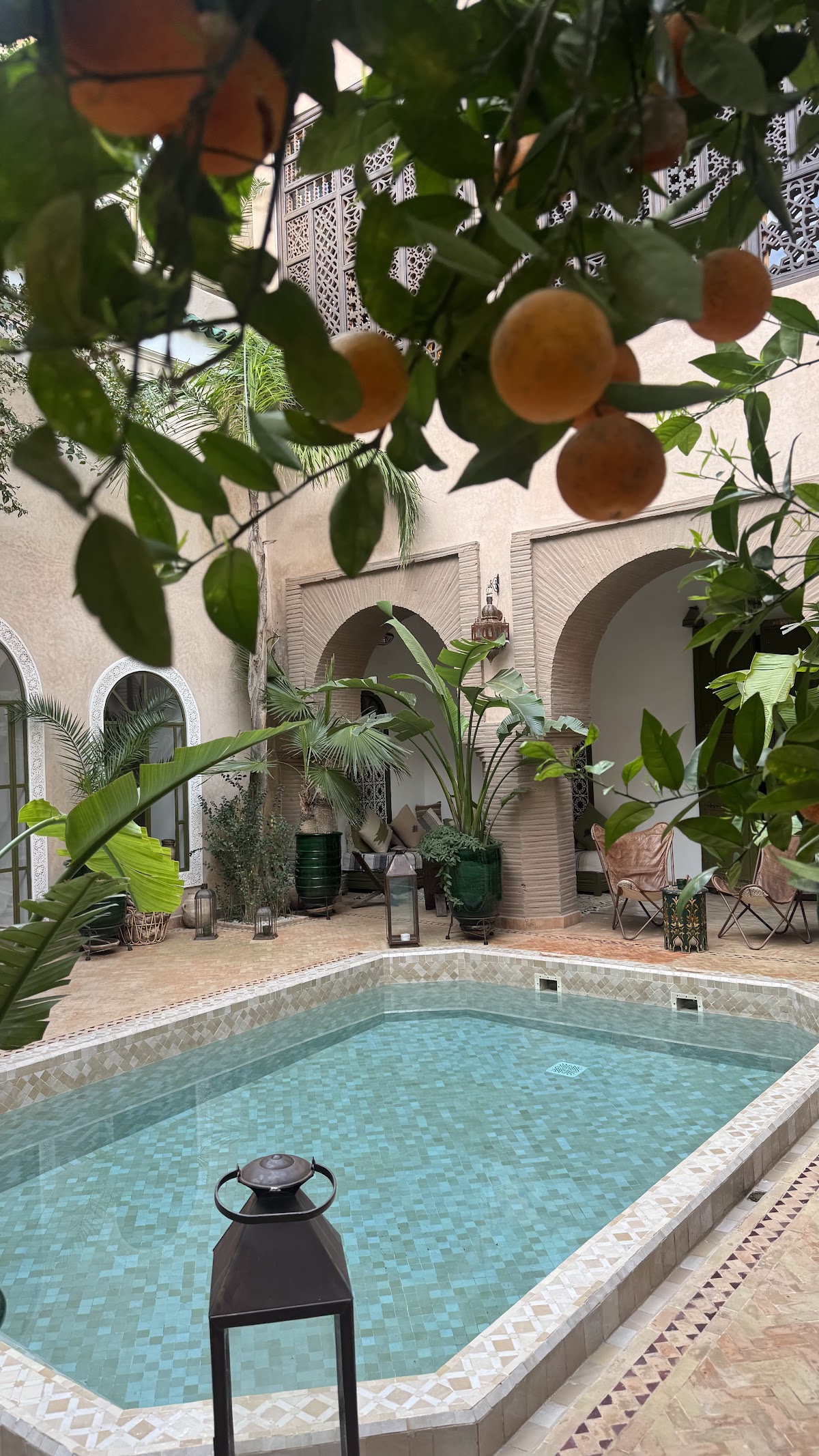 Nahla Wellness — 4