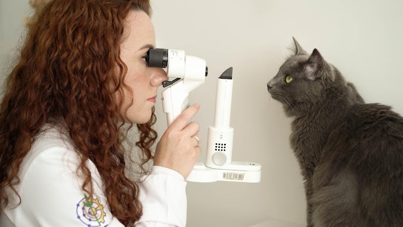 Foto de Oftalmologia Veterinária - Dra Camila Baruel
