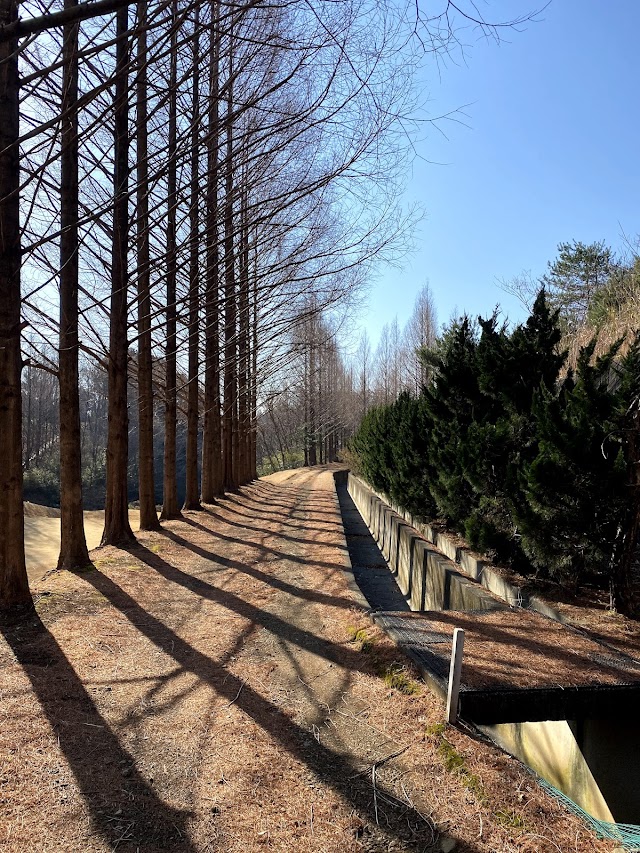 Surugaoka Golf Club - Photo 10