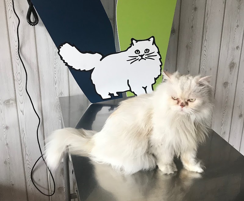 CLINICA VETERINARIA MIENGO-ROCK’N’PETS