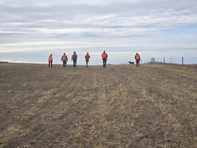 Dakota Winds Pheasant Hunting Lodge - Photo 3
