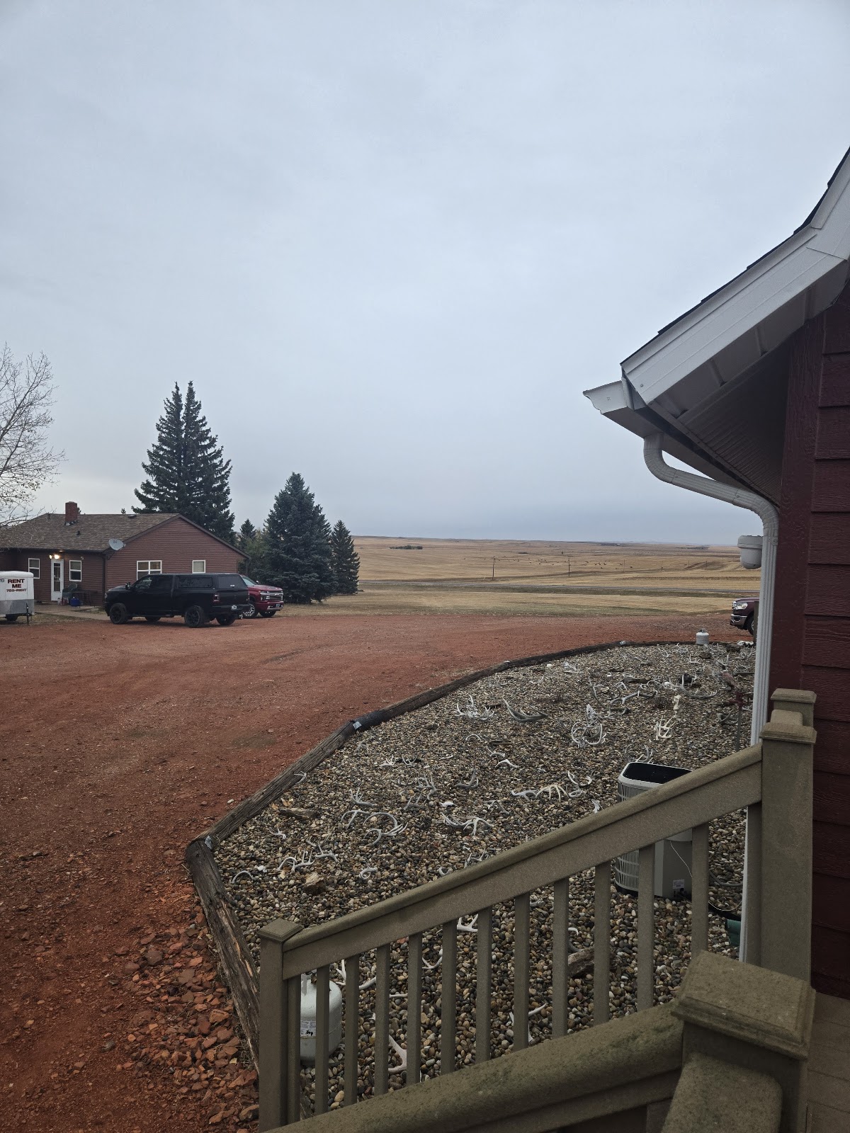 Dakota Winds Pheasant Hunting Lodge