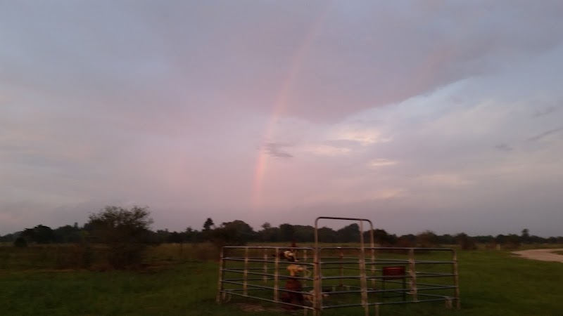 Gray Ranch - Photo 6