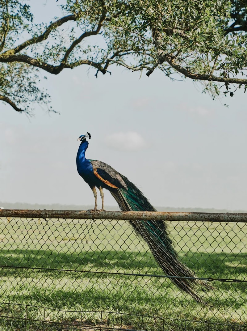 Gray Ranch - Photo 5