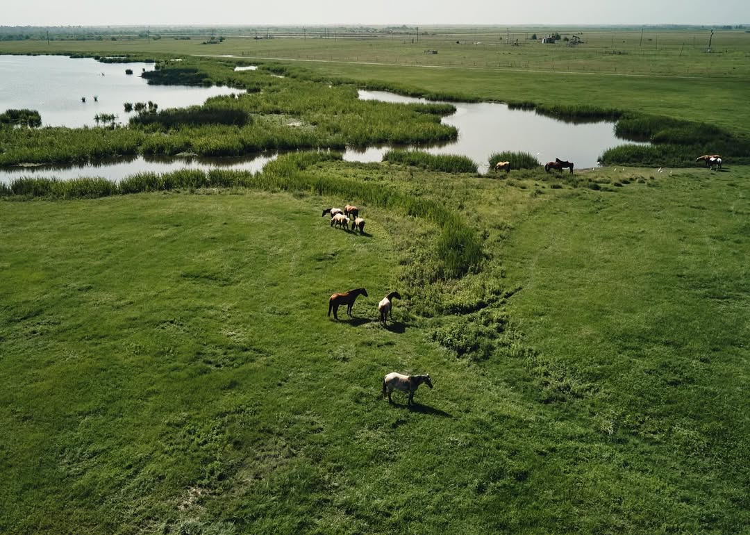 Gray Ranch