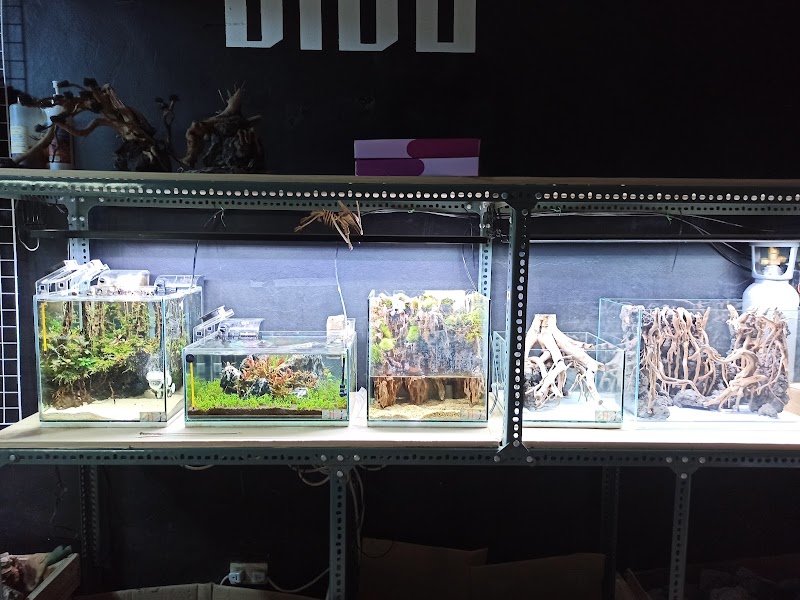 B1B2 Aquatic