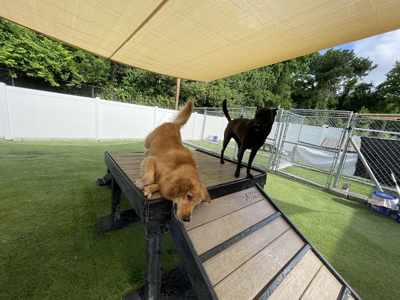 North Shore Pawville - Pet Boarding, Grooming, Daycare, Training