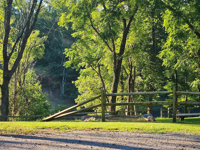 Independence Park Disc Golf Course photo 3