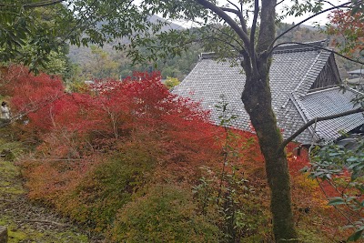 Ankokuji Temple - 5