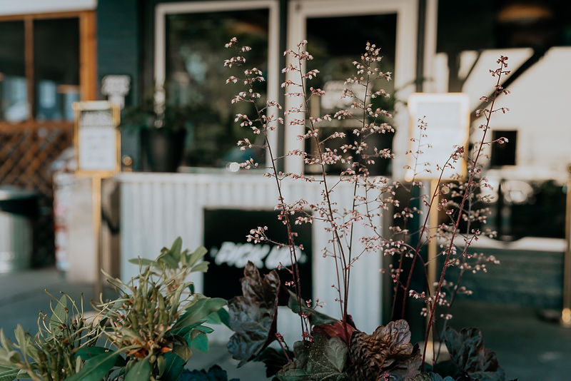 Lamplighter Coffee Roasters - Addison St photo 3