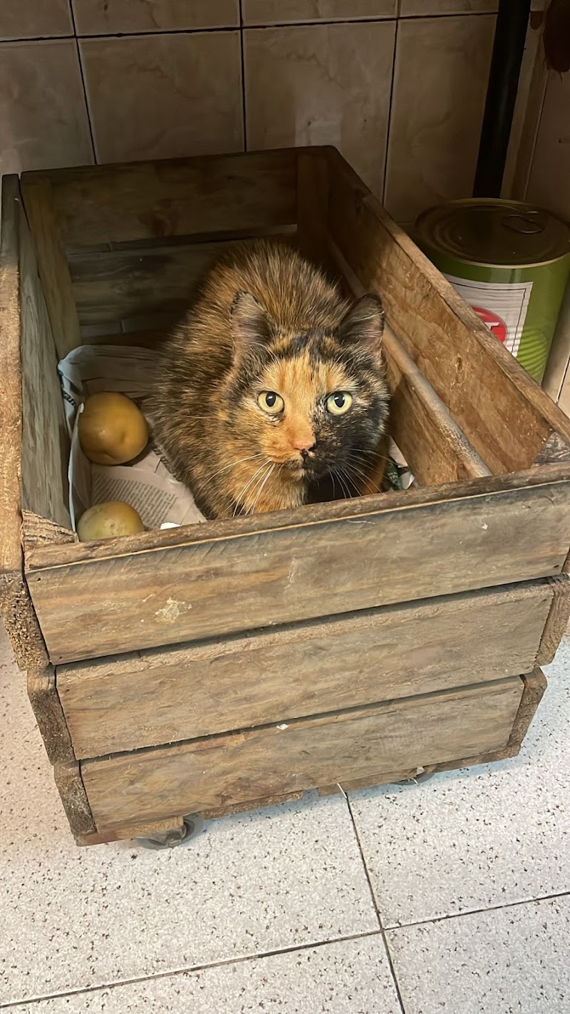 Veterinari de l'Ebre