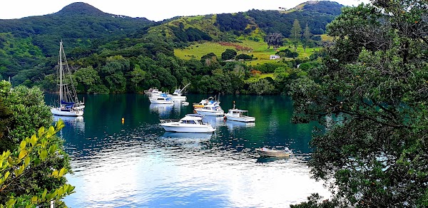 Great Barrier Island 1