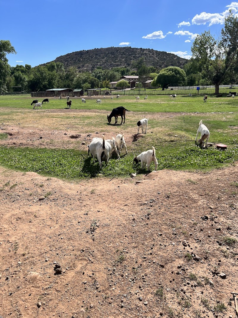 DA Ranch - Photo 6