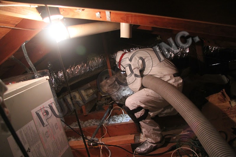 Pure Eco Inc. - General Contractor in Los Angeles