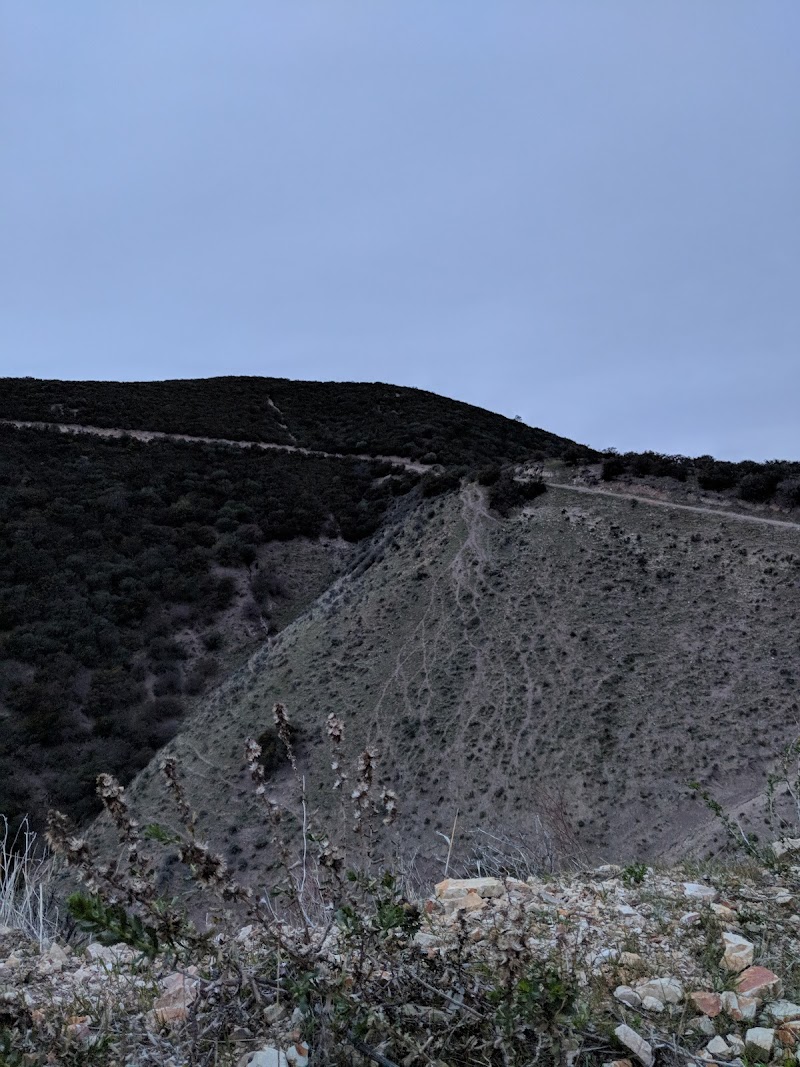 Native Hunt Enterprises - Photo 2