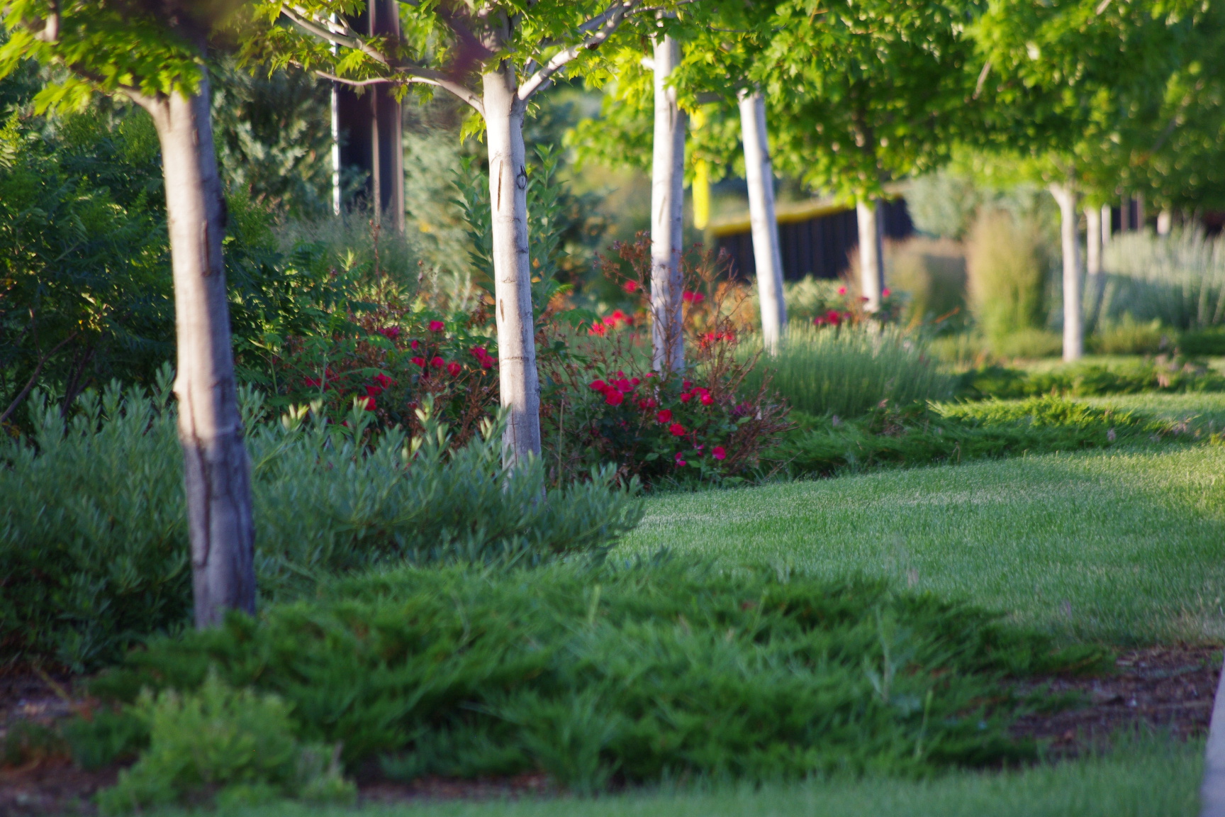 Peak to Peak Charter School