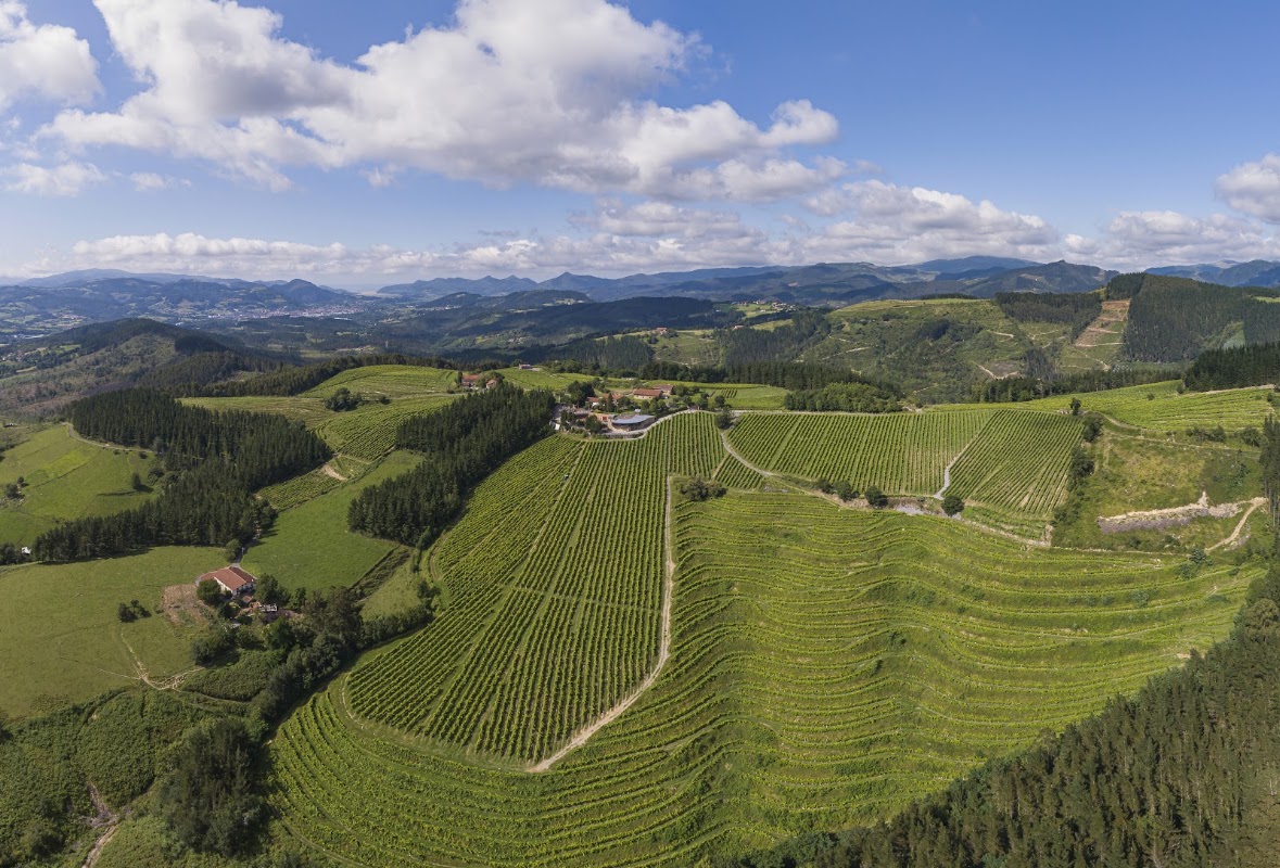 Bodega Berroja