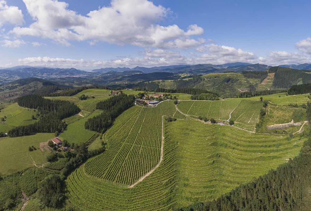 Bodega Berroja