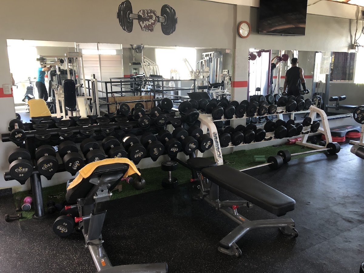 Punto Gym - Imagen 3