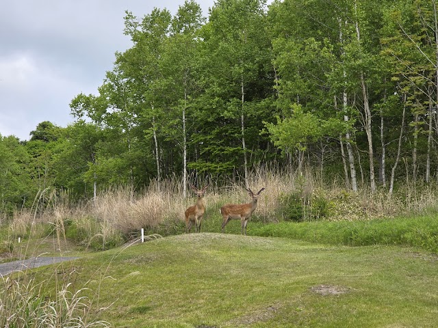Hokkaido Golf Club - Photo 7