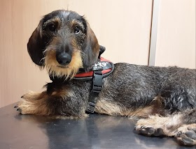 CLINICA VETERINARIA VIVEROS URGENCIAS 675371661