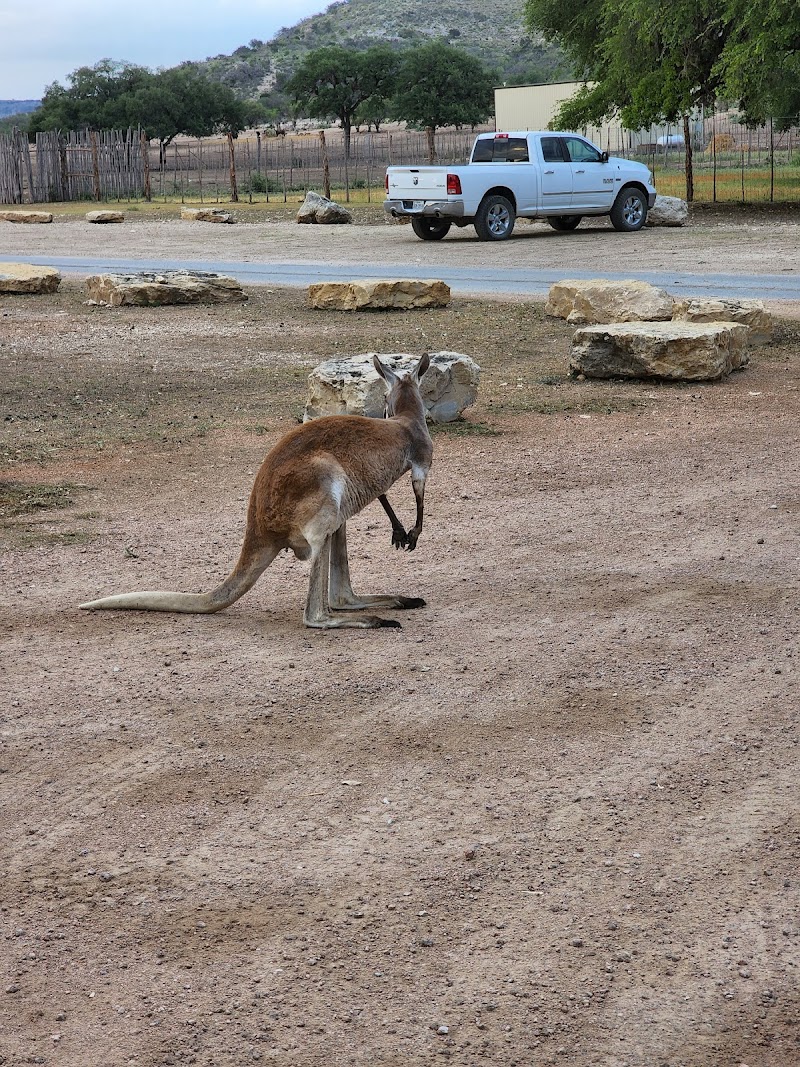 Ox Ranch - Photo 5