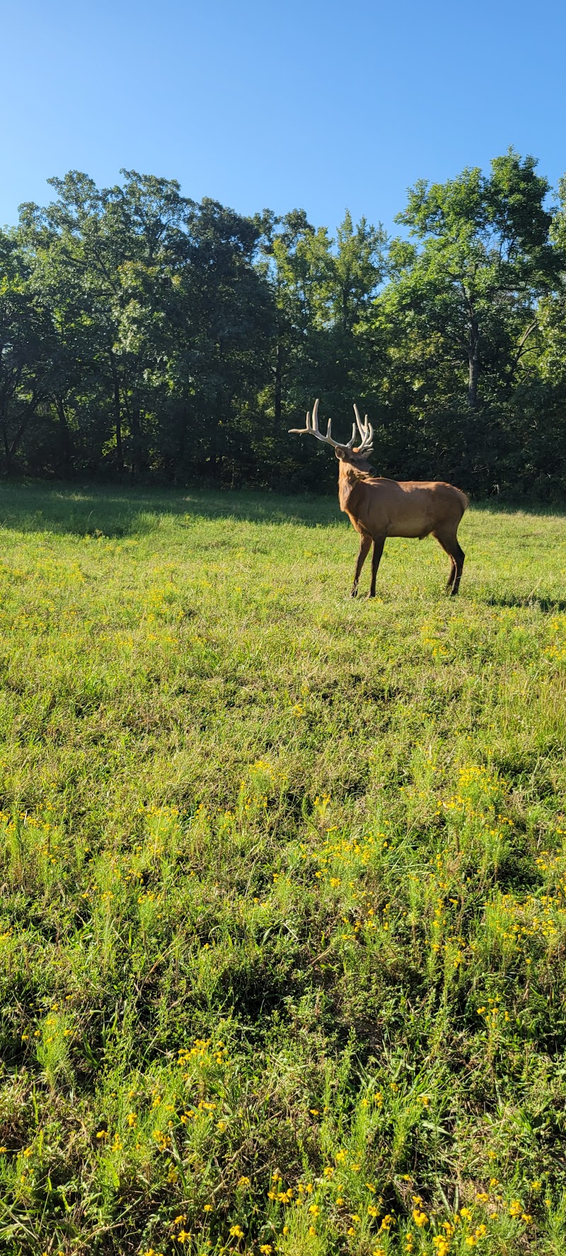 Lost Star Hunting Ranch - Photo 6