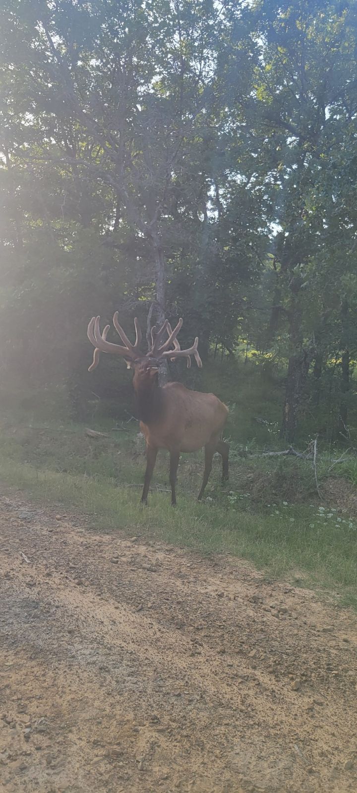 Lost Star Hunting Ranch - Photo 2