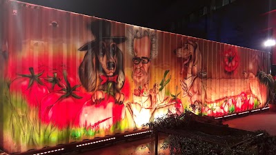 דוגסלייף בית גידול לכלבים זעירים ופנסיון לכלבים וחתולים