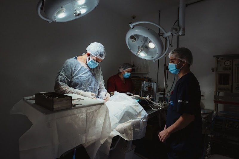 Clinica Veterinária Vet Care - foto 3