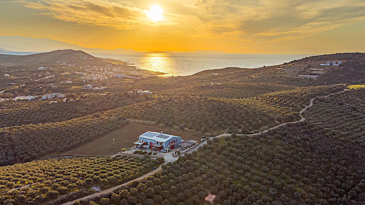 Klados Winery