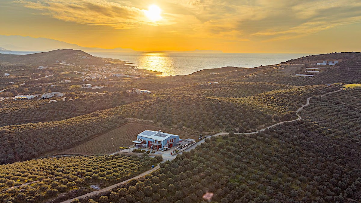 Klados Winery