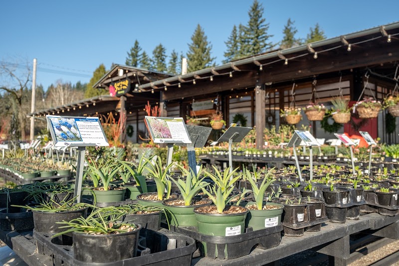 Cornell Farm photo 4