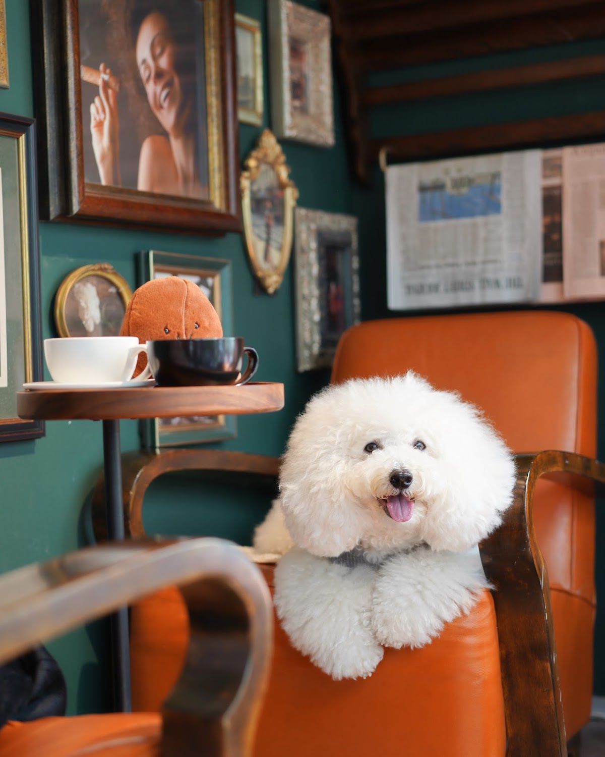 酷啡88 photo 4