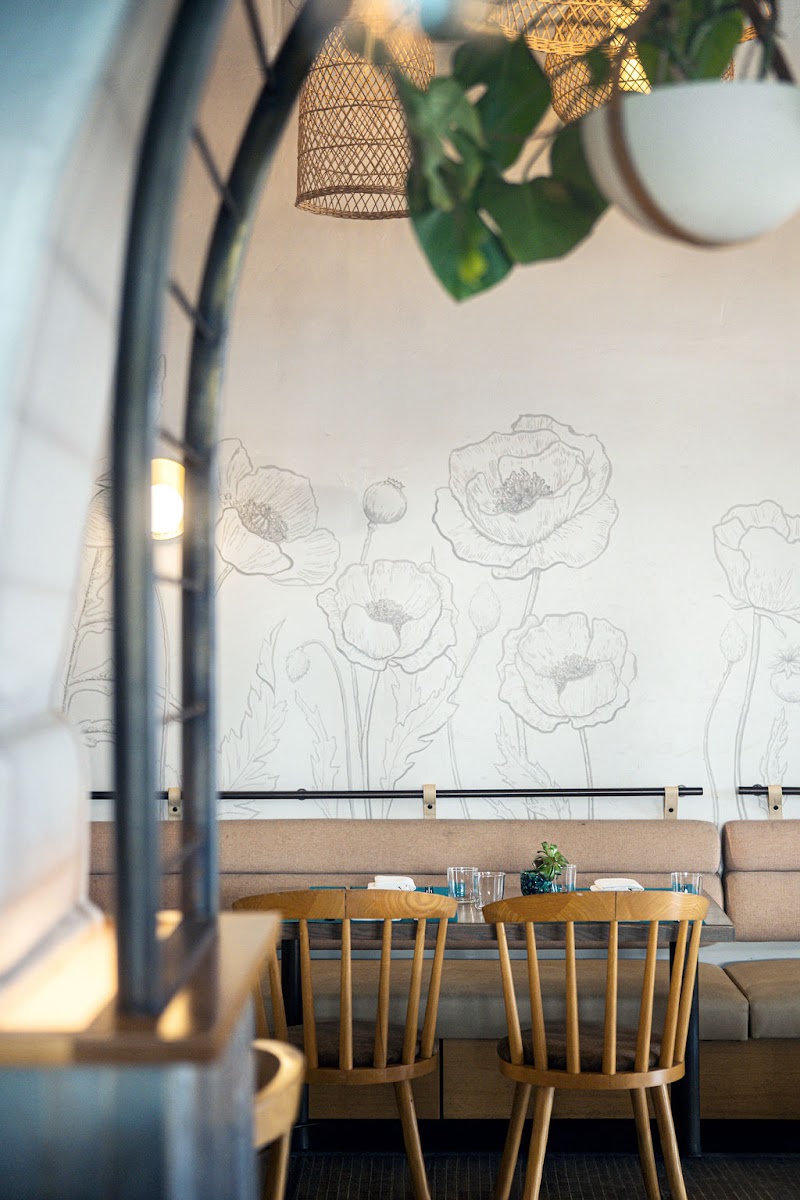 Café Lido photo 1