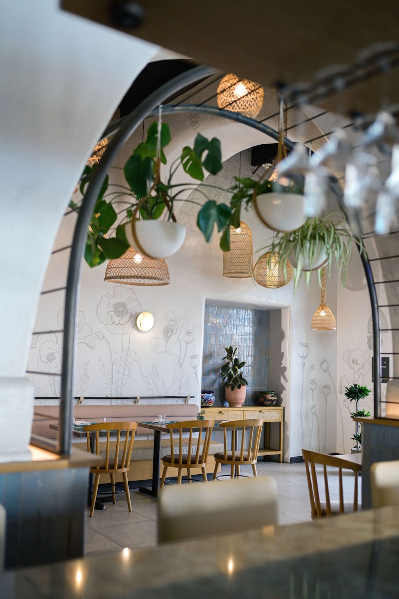 Café Lido photo 4