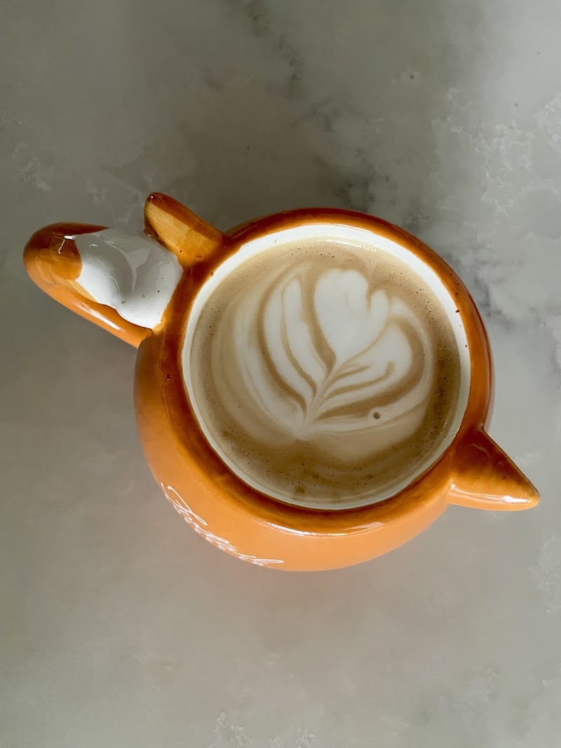 Foxtail Coffee Co - Riverview photo 4