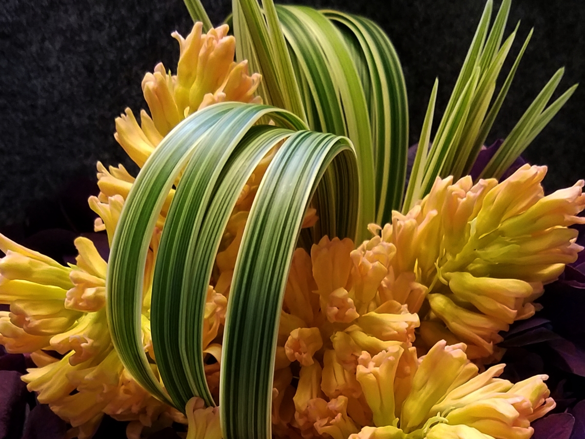 Under the Tree Florist: Google Places image 2