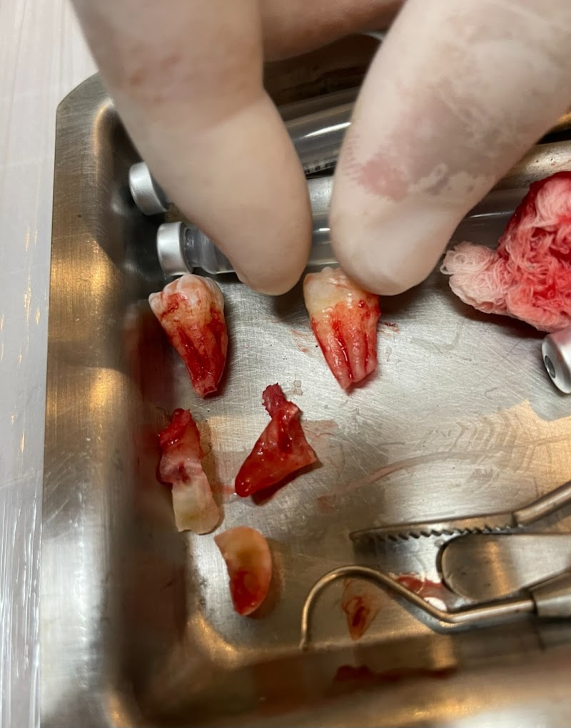 White Odonto - foto 3