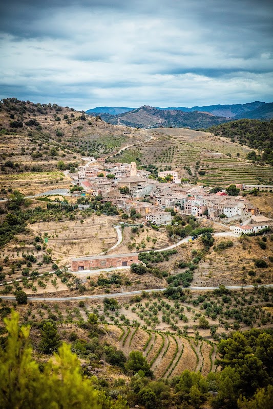 Bodegas Mas Alta S.A